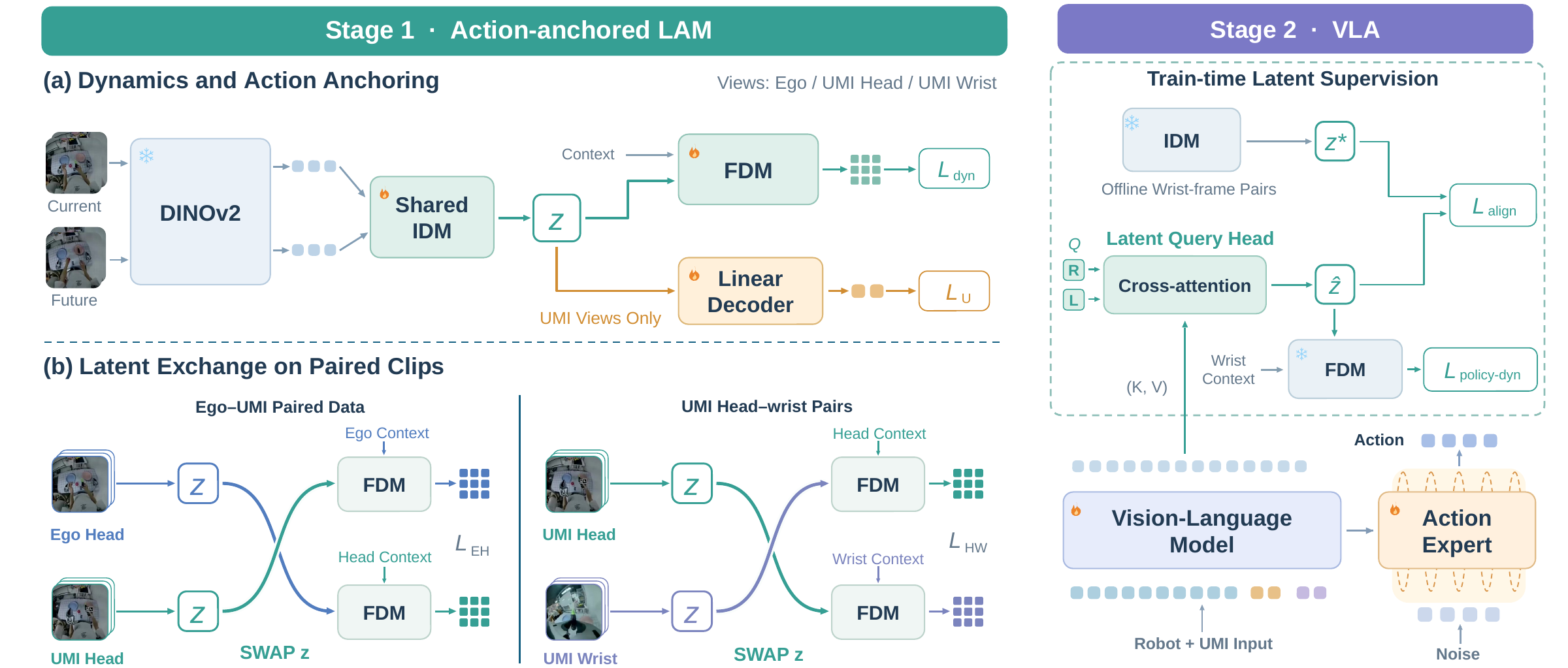Stage 1 trains a latent action model with UMI action supervision and cross-view and cross-domain alignment. Stage 2 freezes the wrist teacher and dynamics model for auxiliary supervision of the policy. Auxiliary components are removed at deployment.