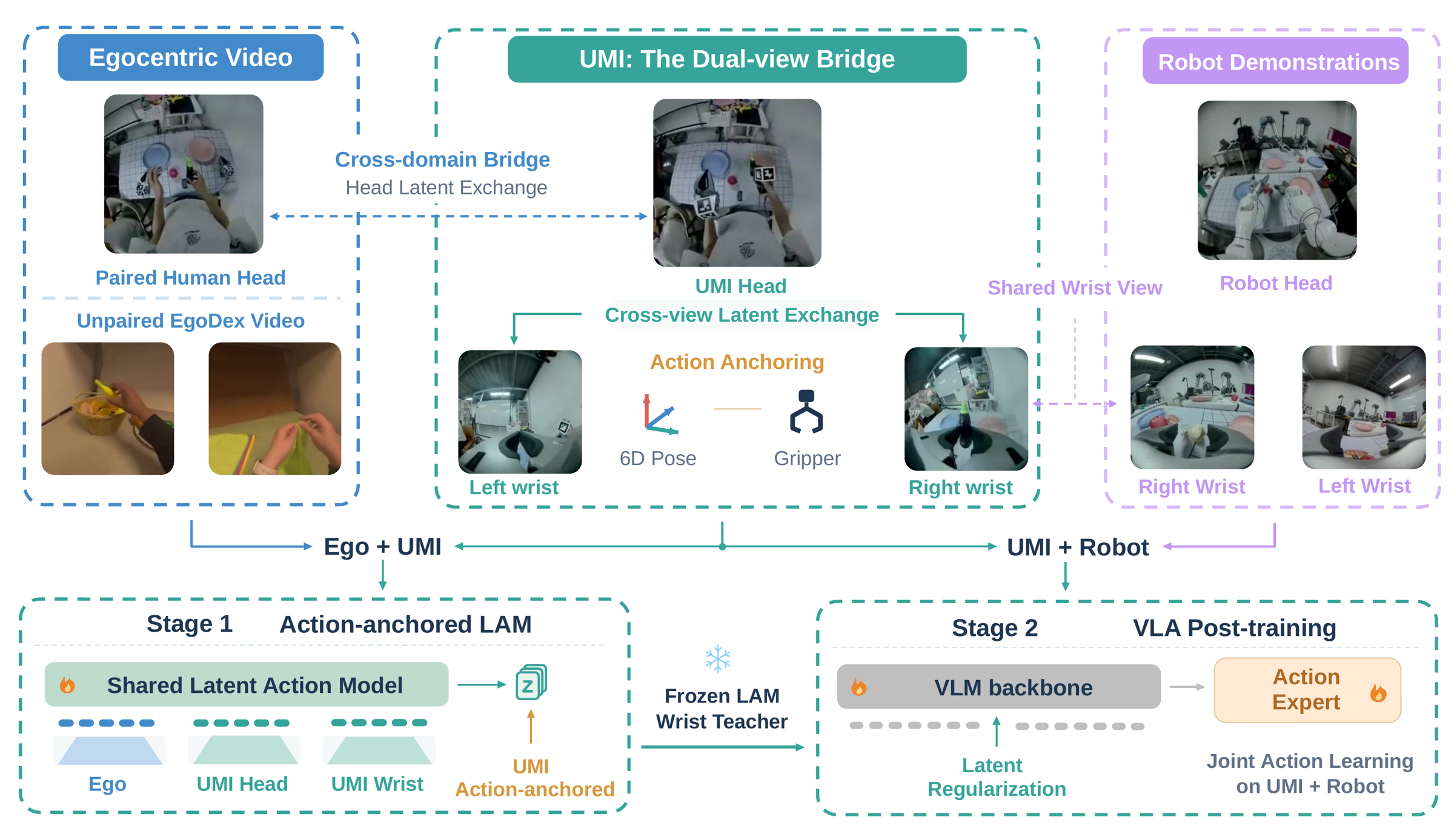 UMI acts as an action-anchored bridge connecting egocentric human observations with robot policy learning.